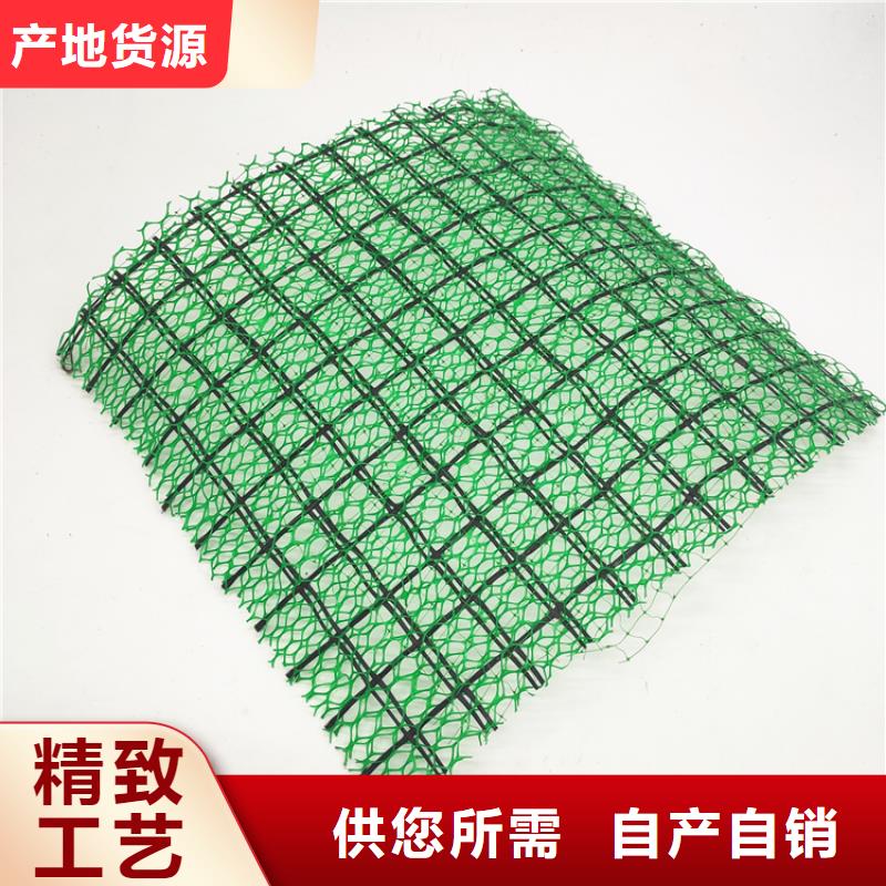 三維植被網(wǎng)土工膜老品牌廠家