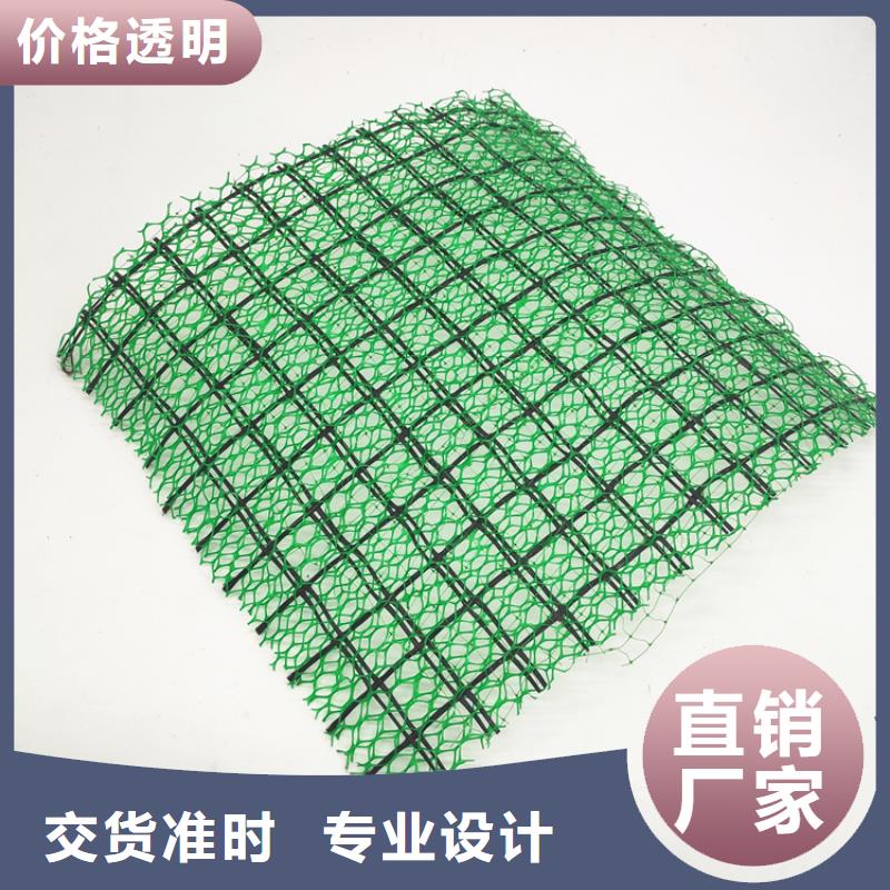 三維植被網(wǎng)三維土工網(wǎng)墊安裝簡單