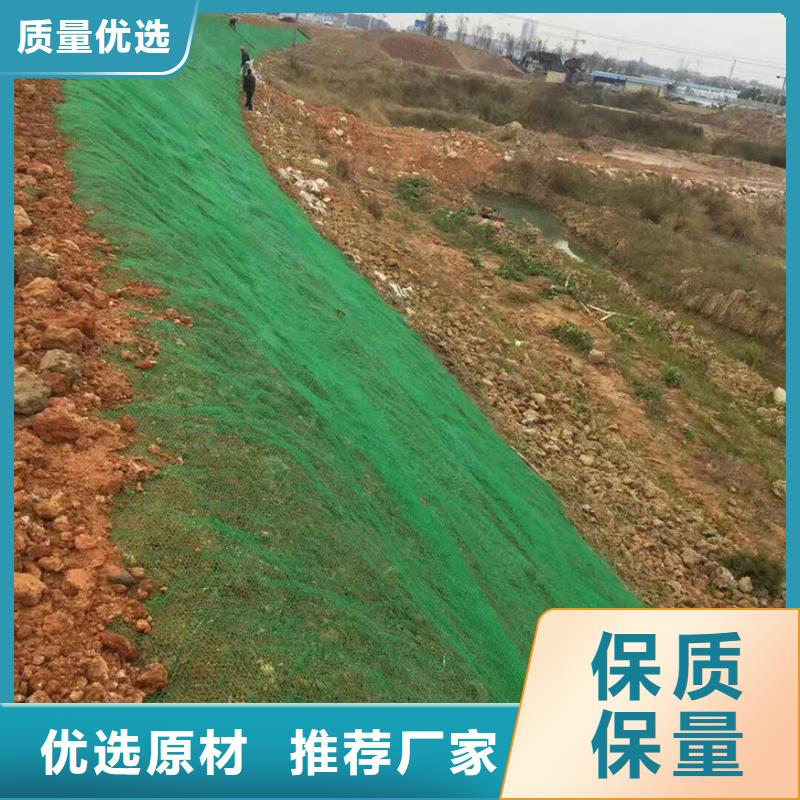 三維植被網(wǎng)復(fù)合土工膜行業(yè)優(yōu)選