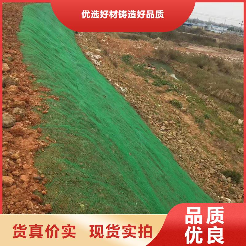 三維植被網(wǎng)-鋼塑土工格柵我們更專業(yè)