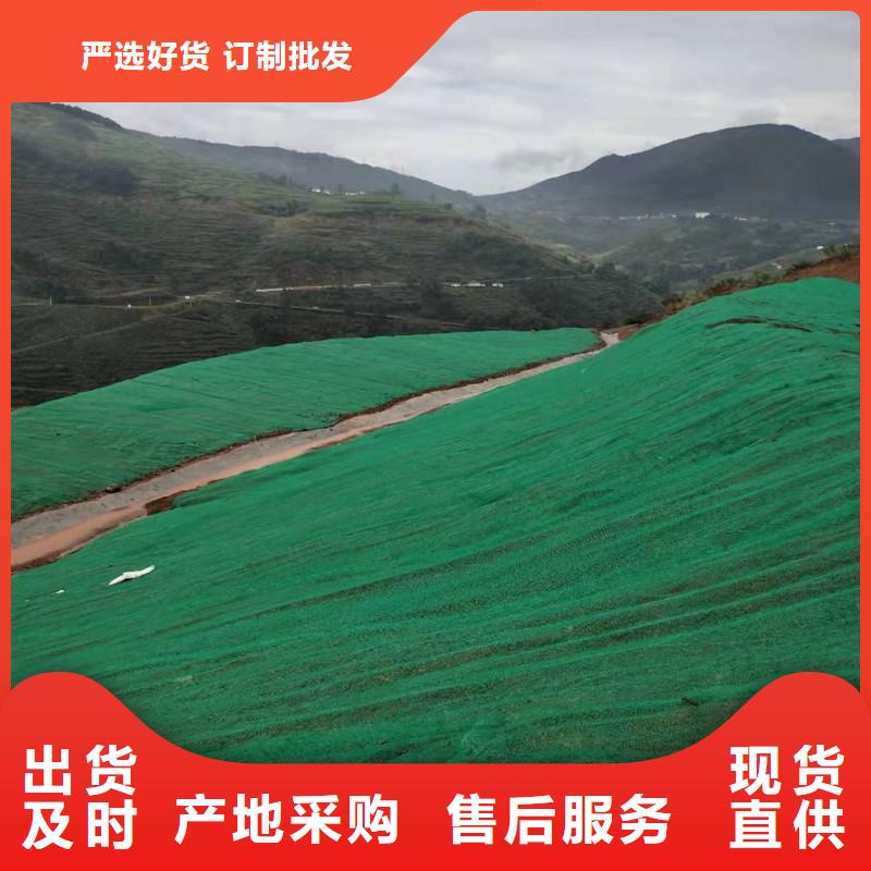 三维植被网三维土工网垫安装简单