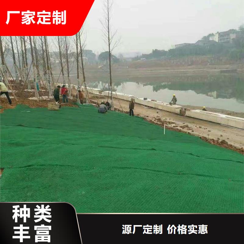 三維植被網(wǎng)復(fù)合土工膜行業(yè)優(yōu)選