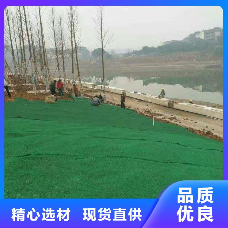 三維植被網(wǎng)滌綸土工格柵廠家銷售
