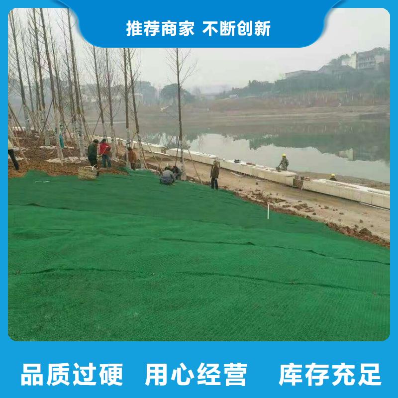 三维植被网塑料盲沟可放心采购
