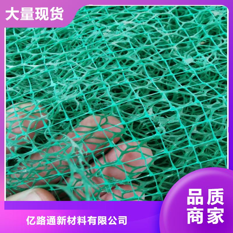 三維植被網(wǎng)_土工膜優(yōu)選好材鑄造好品質(zhì)