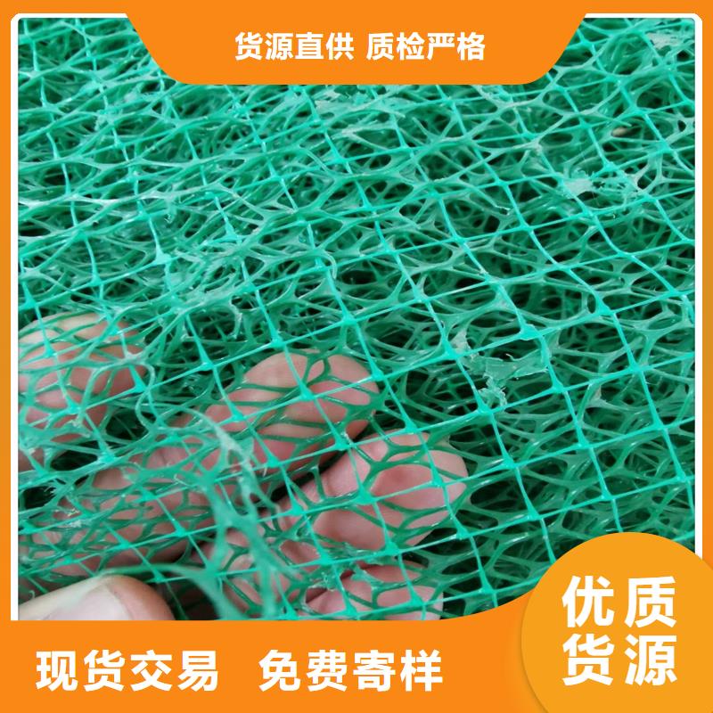 三維植被網(wǎng)-鋼塑土工格柵我們更專業(yè)