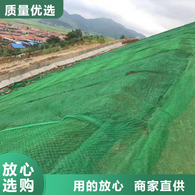 三维植被网钢塑土工格栅厂家货源直供