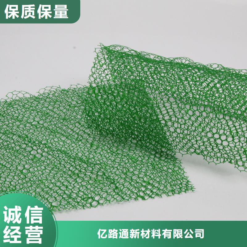 三维植被网,软式透水管源厂直接供货