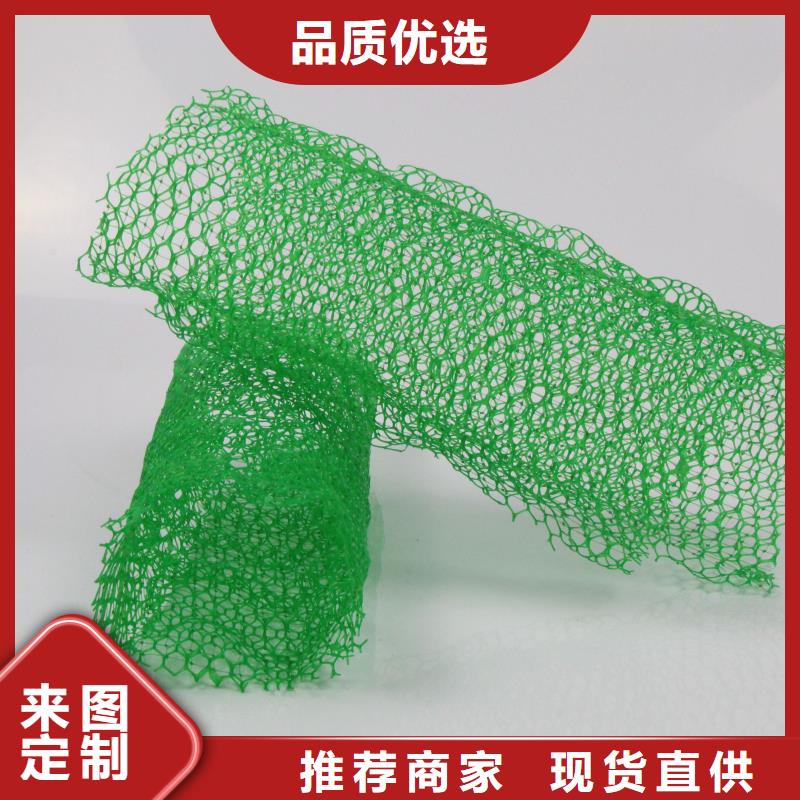三維植被網(wǎng)復(fù)合土工膜行業(yè)優(yōu)選