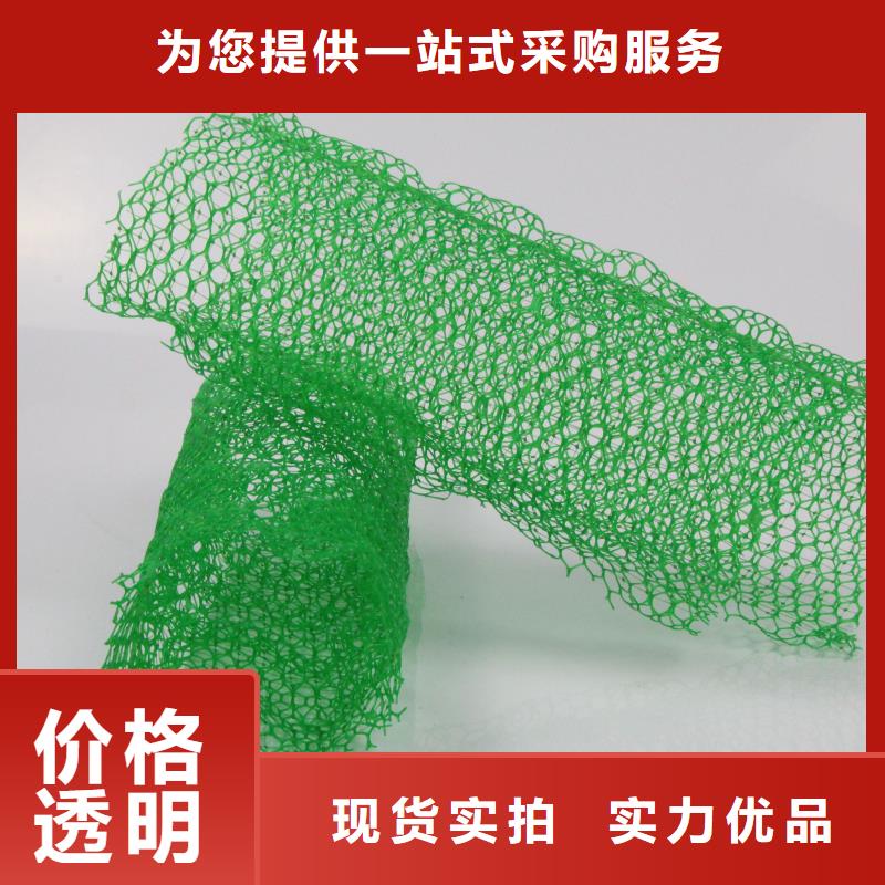 三维植被网护坡土工网优质原料