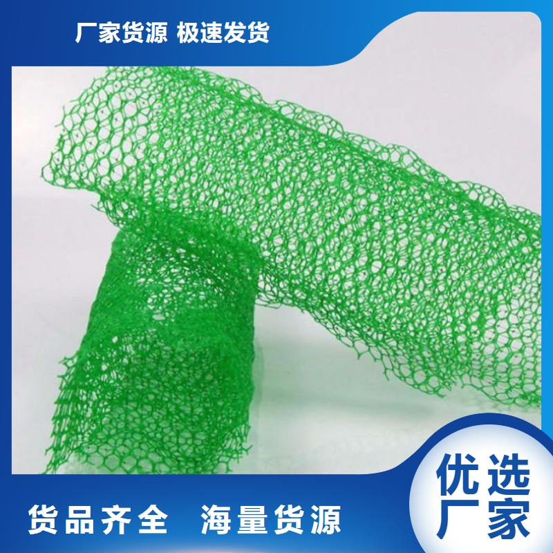 三维植被网土工膜老品牌厂家