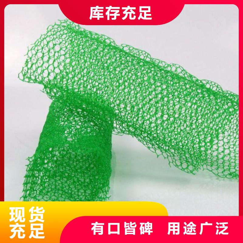 三維植被網(wǎng)塑料盲溝可放心采購