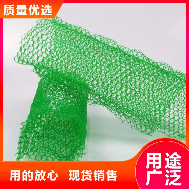 三維植被網(wǎng)復合土工膜行業(yè)優(yōu)選