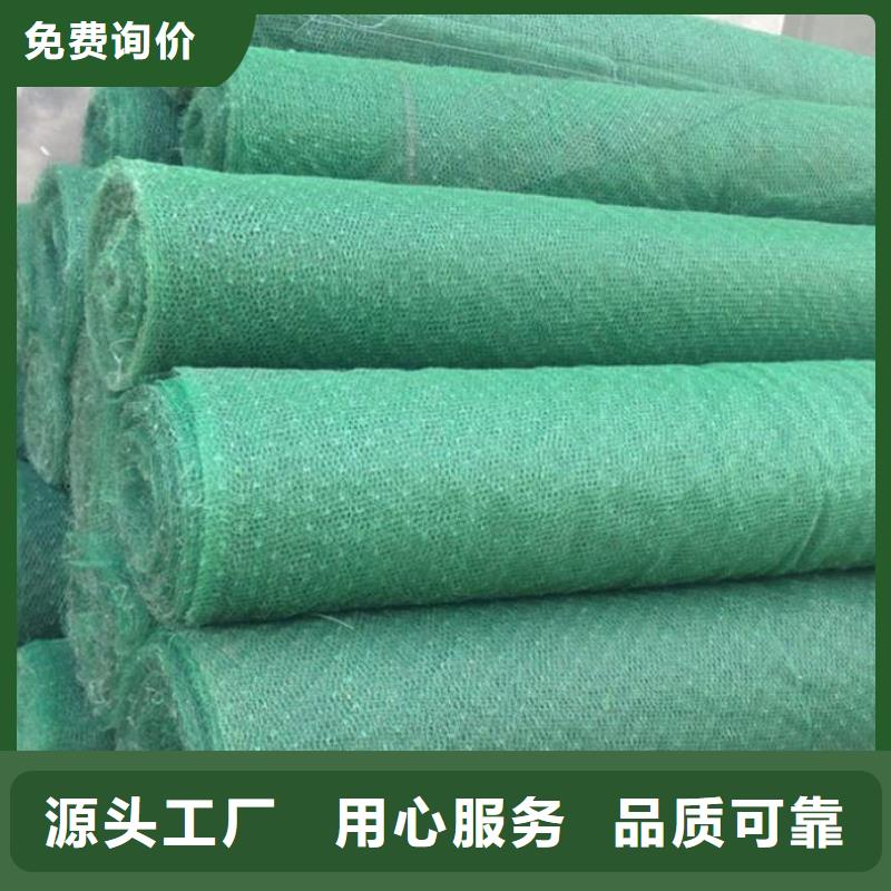 三維植被網(wǎng)護(hù)坡土工網(wǎng)優(yōu)質(zhì)原料