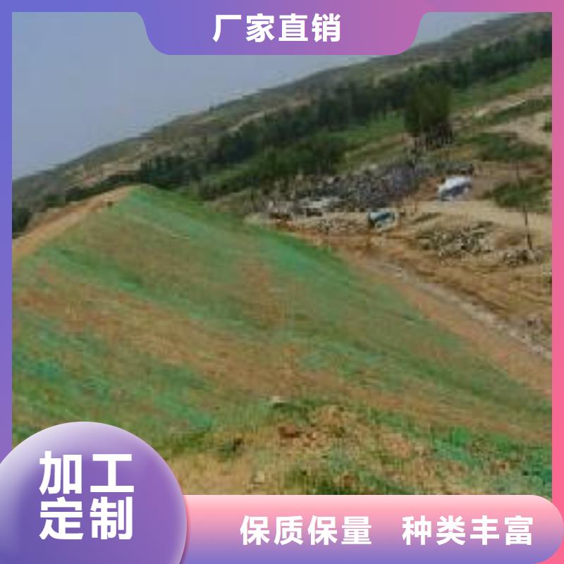 三維植被網(wǎng)復(fù)合土工膜行業(yè)優(yōu)選