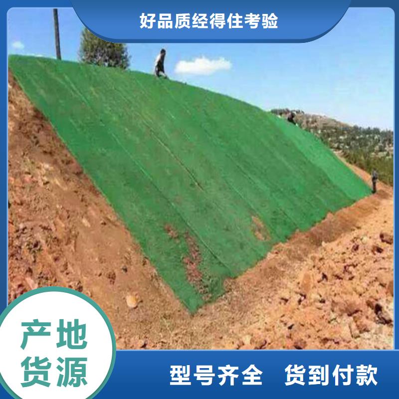 三維植被網(wǎng)復(fù)合土工膜行業(yè)優(yōu)選