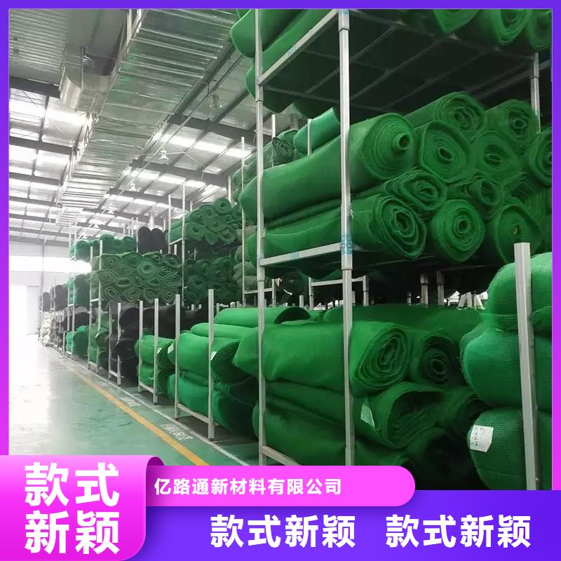 三維植被網(wǎng)復(fù)合土工膜行業(yè)優(yōu)選