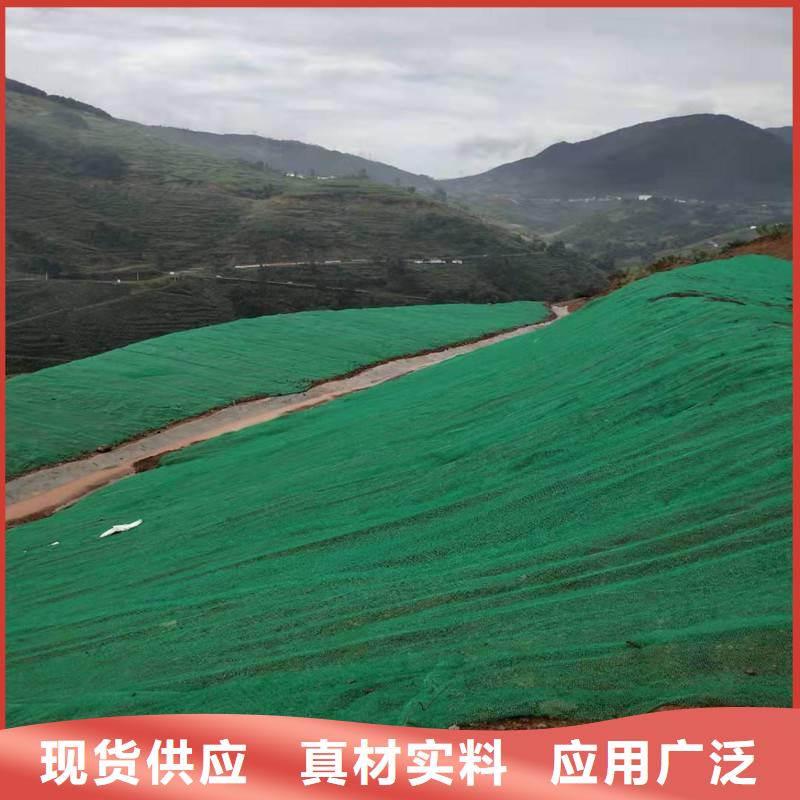 三維植被網(wǎng),雙向塑料土工格柵免費(fèi)詢價(jià)