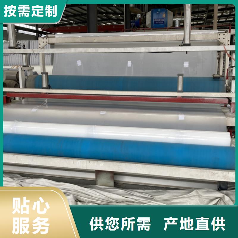 EVA防水板,玻纖土工格柵隨到隨提
