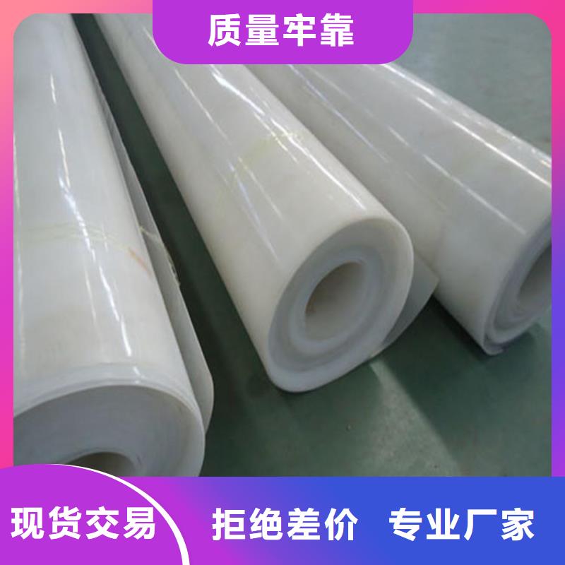 EVA防水板塑料排水板产品细节参数