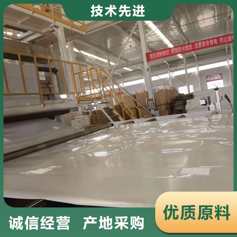 EVA防水板聚丙烯雙拉土工格柵批發(fā)價格