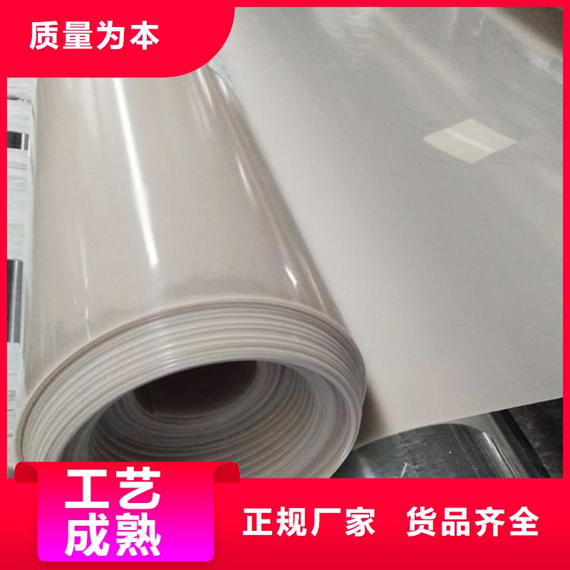 EVA防水板土工席垫设备齐全支持定制