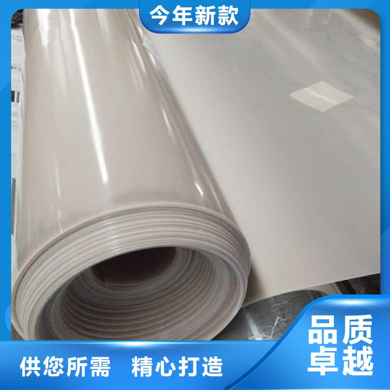 EVA防水板聚丙烯雙拉土工格柵批發(fā)價格