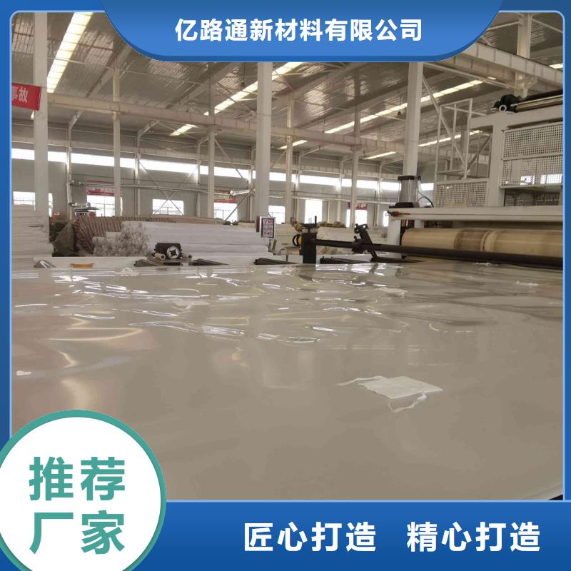 EVA防水板聚丙烯雙拉土工格柵批發(fā)價格