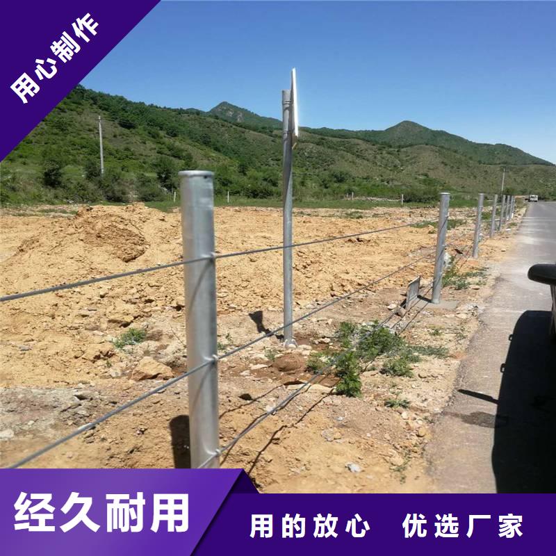 不锈钢木栈道钢丝绳护栏报价