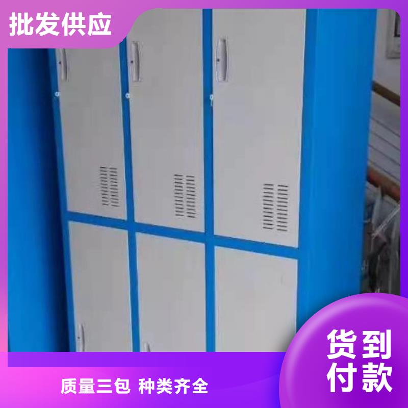 樂亭縣辦公室儲物柜杰順定制