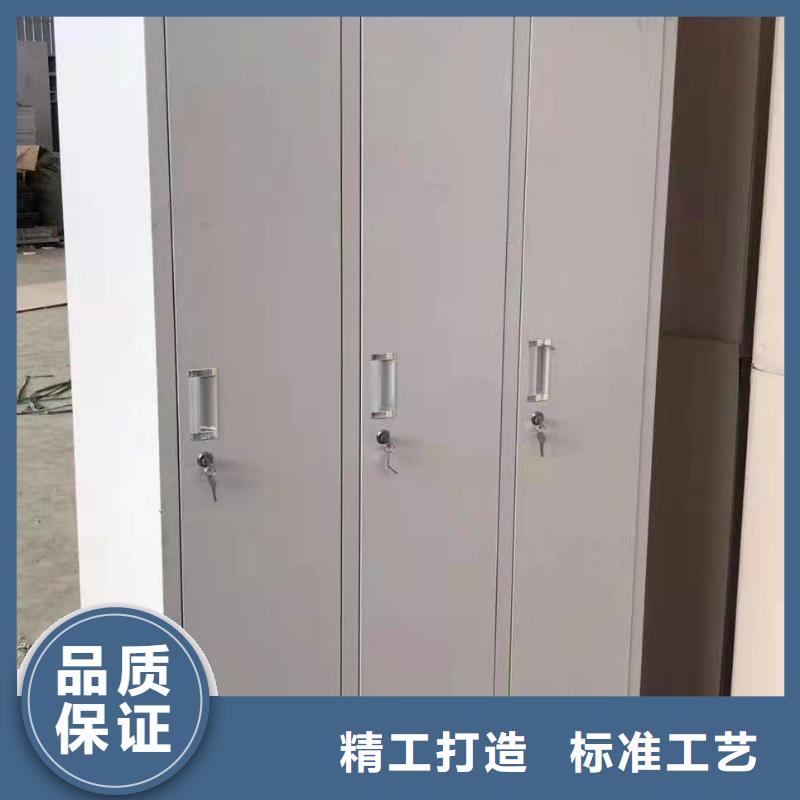 望都縣辦公室儲(chǔ)物柜杰順