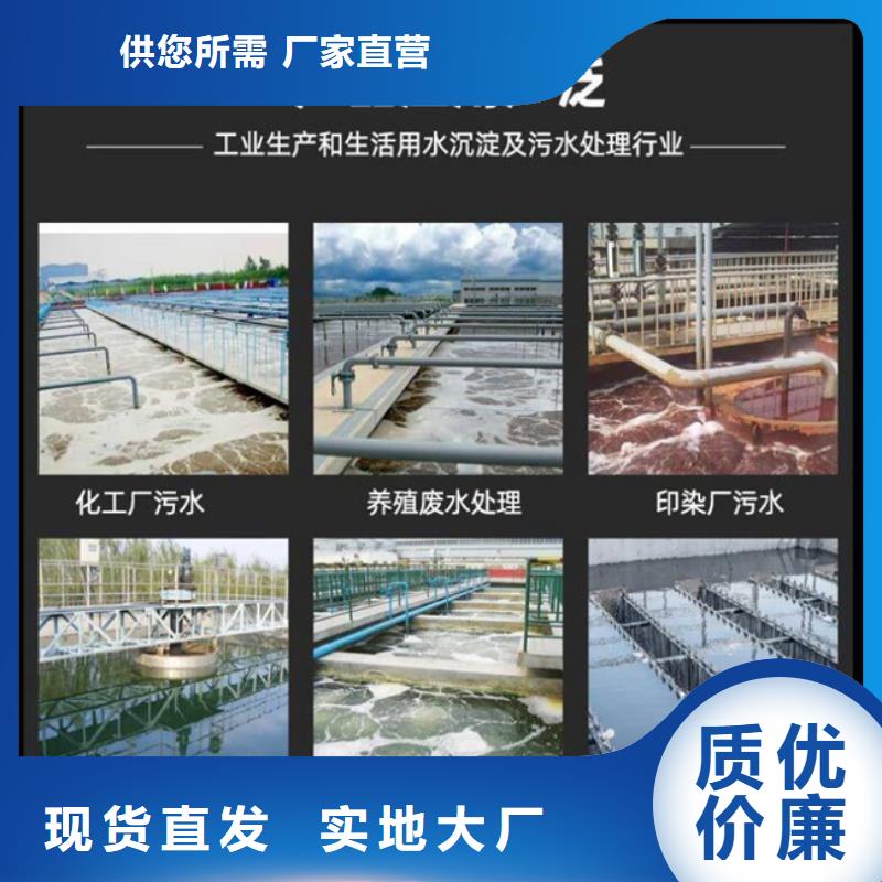 多面空心球活性炭工廠現貨供應