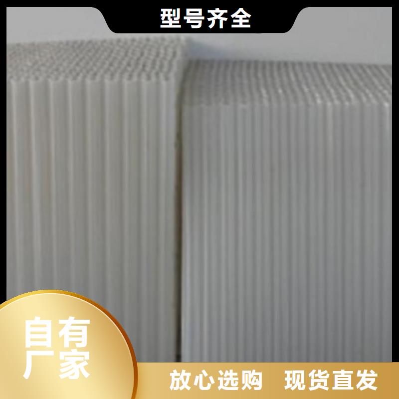 斜管填料活性炭一致好評產品