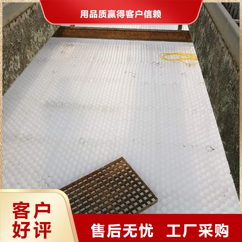 斜管填料活性炭一致好评产品