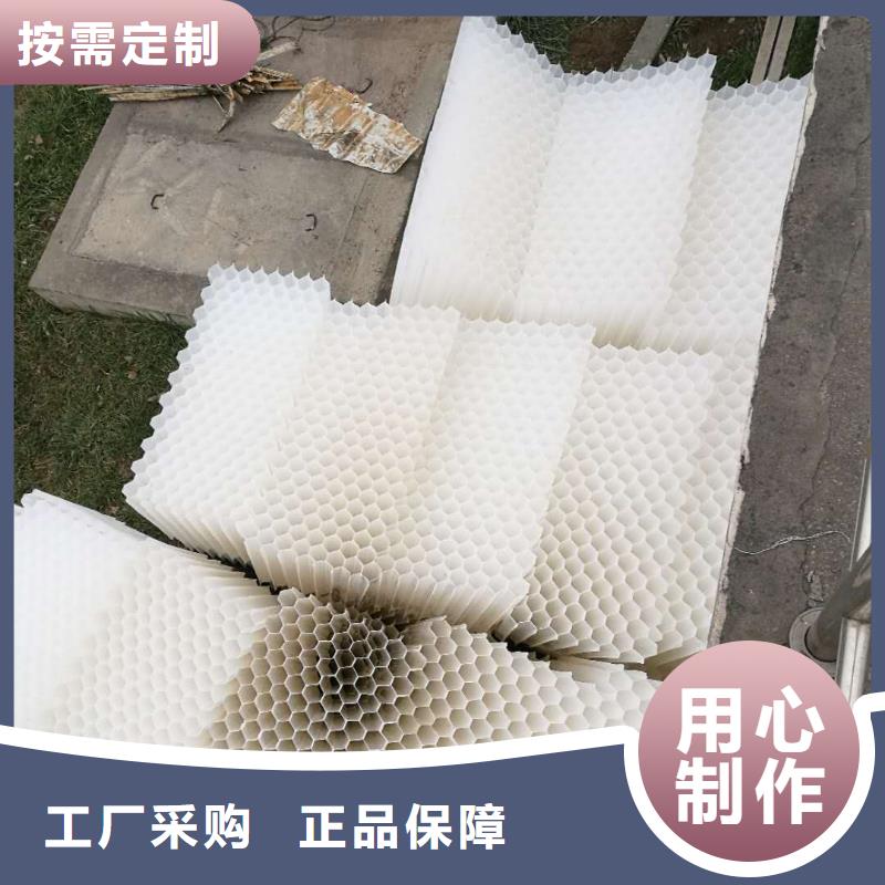 斜管填料活性炭畅销本地