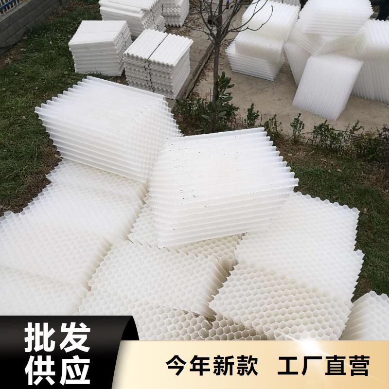 斜管填料活山巖濾料質(zhì)優(yōu)價(jià)廉