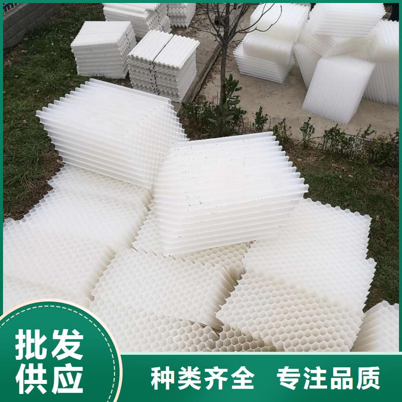 斜管填料活性炭畅销本地