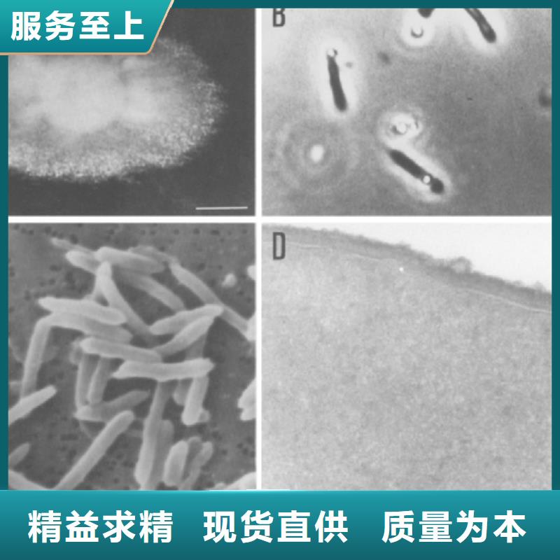 碳源氧化鐵脫硫劑專注細(xì)節(jié)使用放心