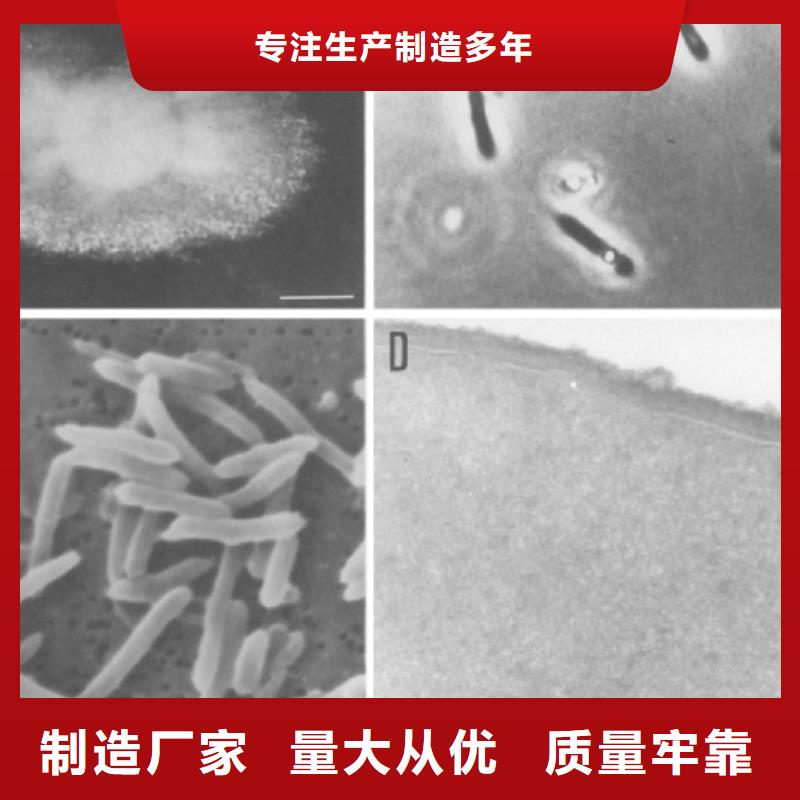 碳源氧化铁脱硫剂专注细节使用放心