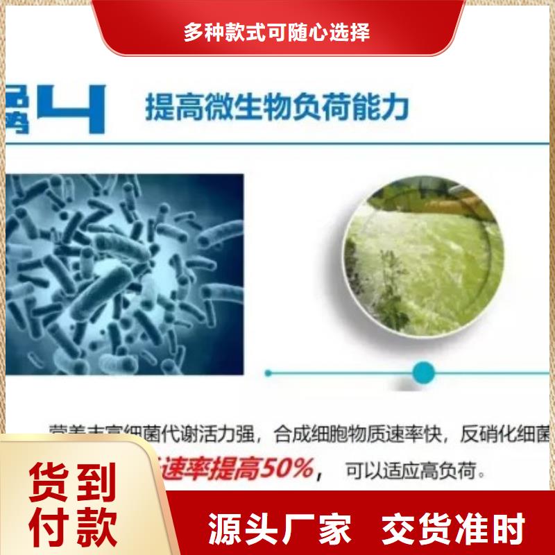 碳源麥飯石廠家直銷售后完善
