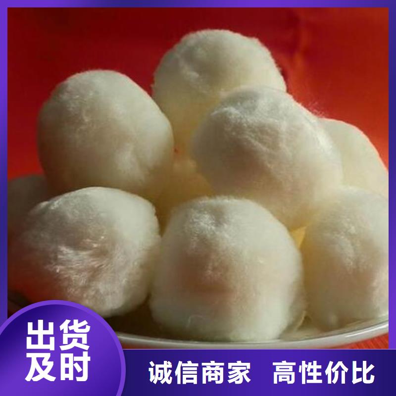 纖維球生物陶粒濾料極速發(fā)貨