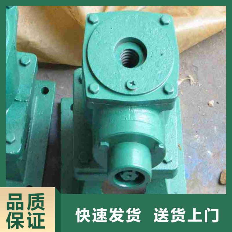 側(cè)搖啟閉機來圖來樣定制