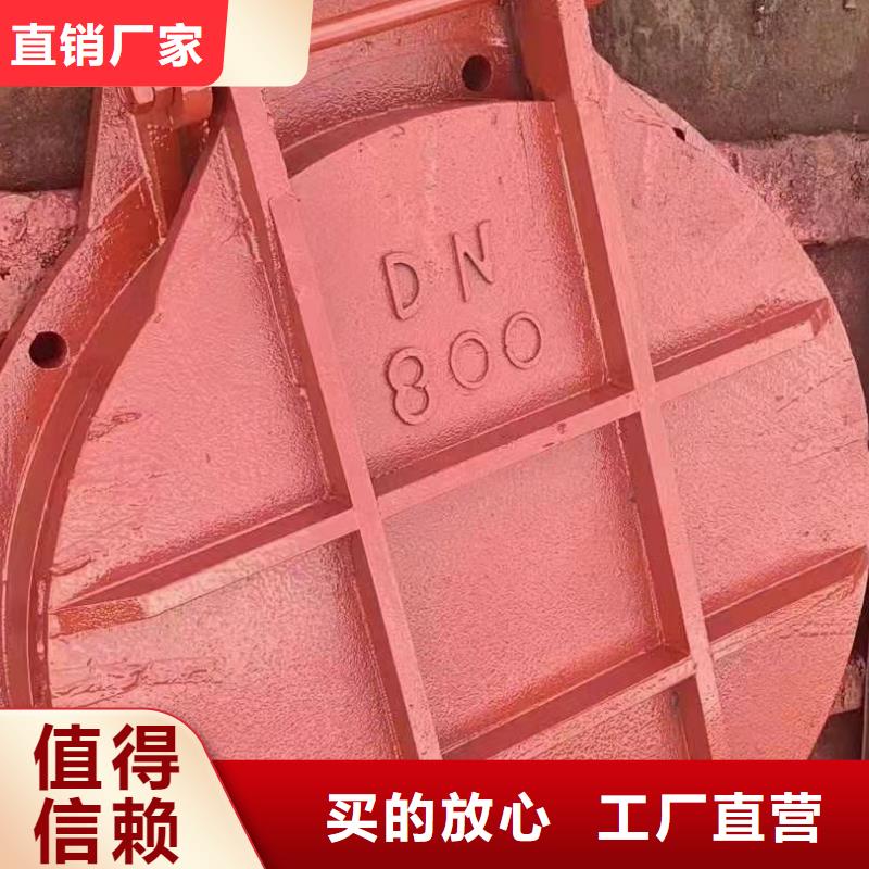 鑄鐵閘門啟閉機閘門廠家專注質(zhì)量
