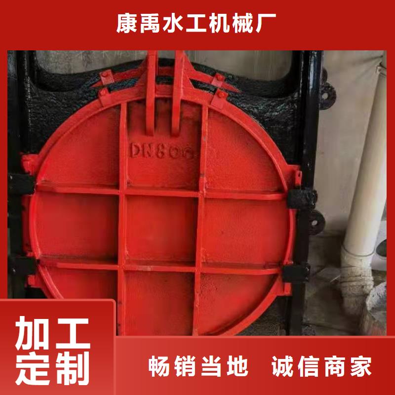 铸铁闸门品种全