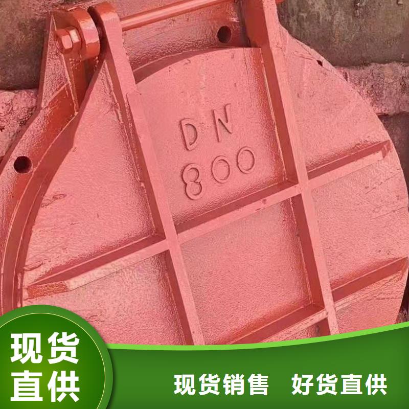 铸铁闸门启闭机闸门厂家市场行情