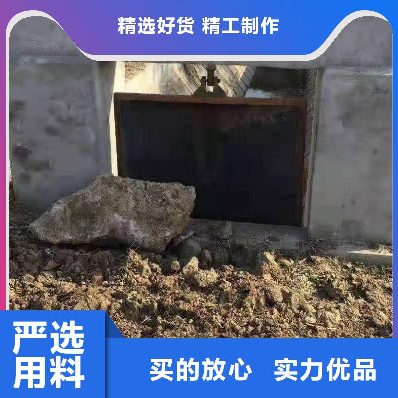 鑄鐵閘門河道清污機(jī)分類和特點(diǎn)