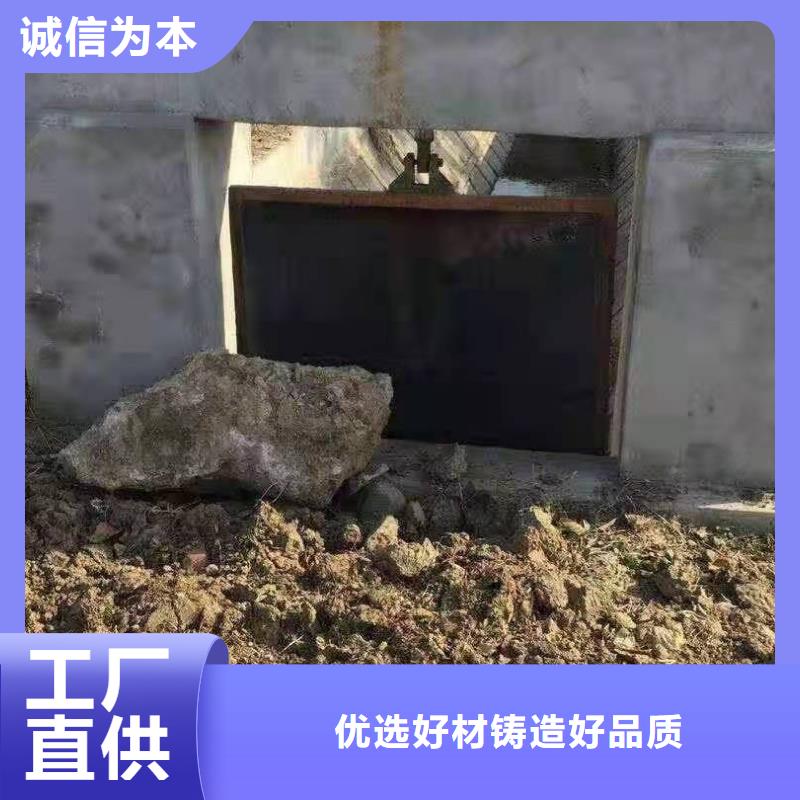 【铸铁闸门启闭机闸门厂家热销产品】