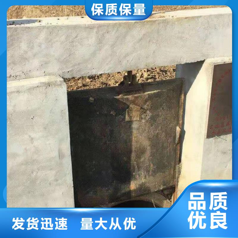 铸铁闸门_拍门厂家诚信商家