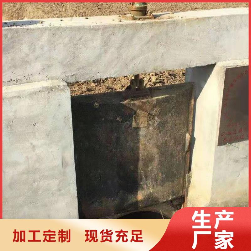 机闸一体式铸铁闸门价格合适
