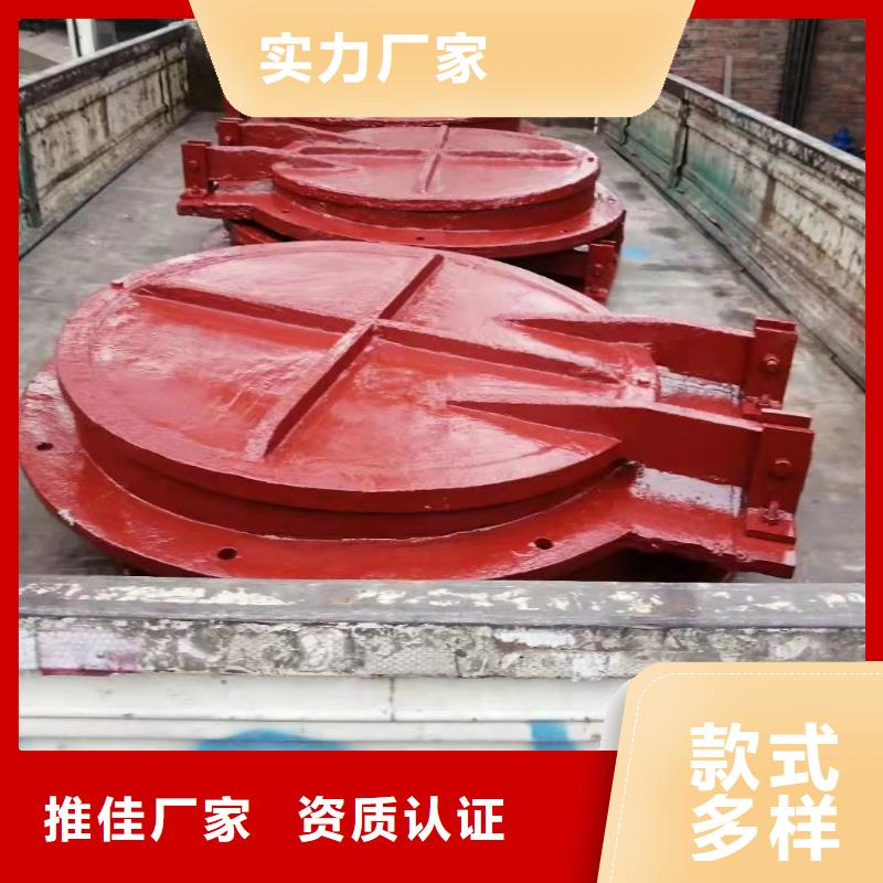 铸铁闸门_拍门厂家诚信商家